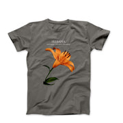 Ikebana Floral Illustration T-shirt - Plants, Garden & Food - Harvey Ltd