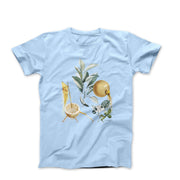 Dali Sultry Grapefruit (1969) Artwork T-shirt - Greatest Artists - Harvey Ltd