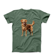 Golden Retriever Illustration T-shirt - Pets & Animals - Harvey Ltd