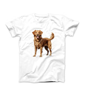 Golden Retriever Illustration T-shirt - Pets & Animals - Harvey Ltd