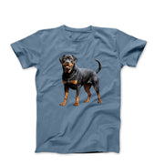 Rottweiler Sketch Illustration T-shirt - Pets & Animals - Harvey Ltd