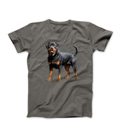 Rottweiler Sketch Illustration T-shirt - Pets & Animals - Harvey Ltd